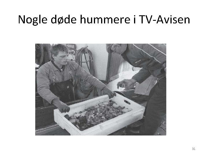 Nogle døde hummere i TV-Avisen 31 Nogle døde hummere i TV-Avisen 31