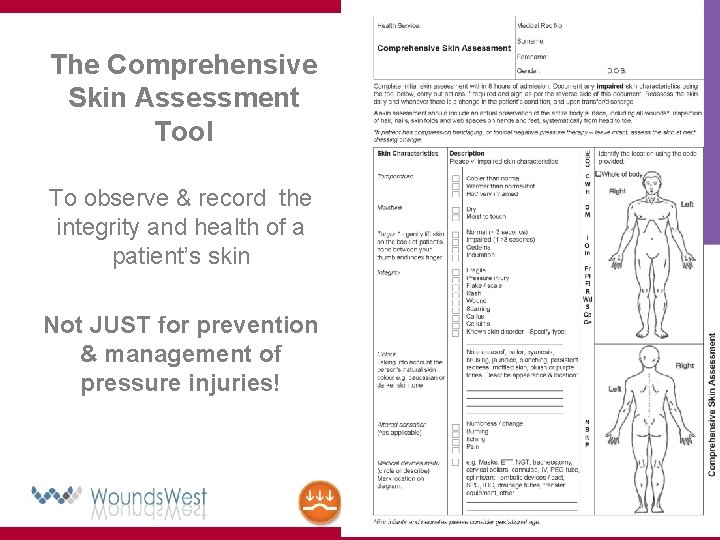 The Comprehensive Skin Assessment Tool To observe & record the integrity and health of