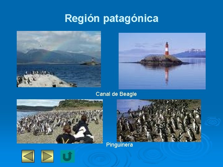 Región patagónica Canal de Beagle Pinguinera 