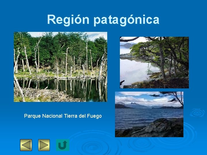 Región patagónica Parque Nacional Tierra del Fuego 