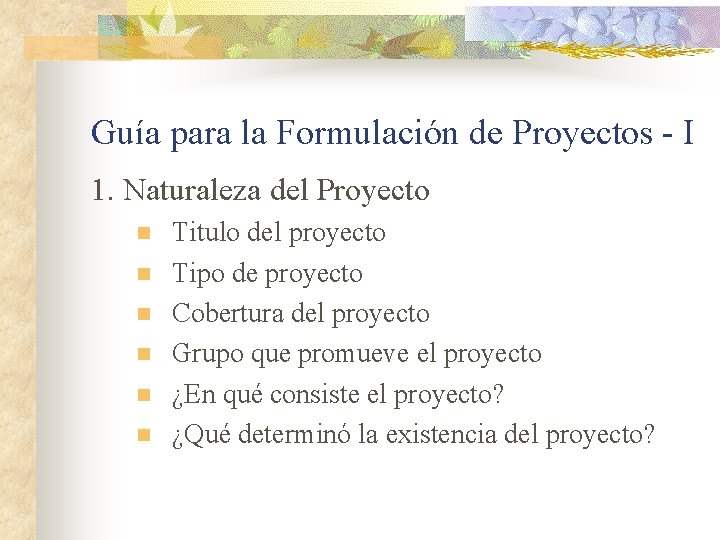 Guía para la Formulación de Proyectos - I 1. Naturaleza del Proyecto n n