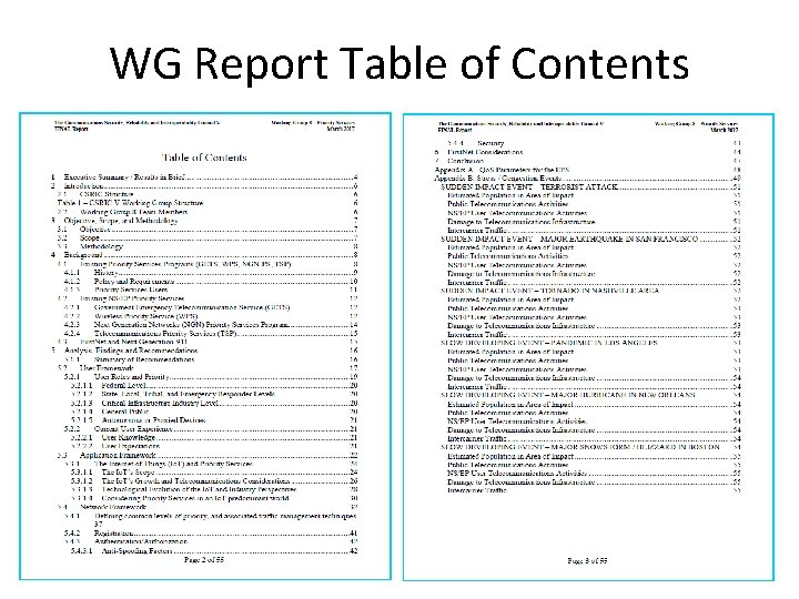 WG Report Table of Contents 6 