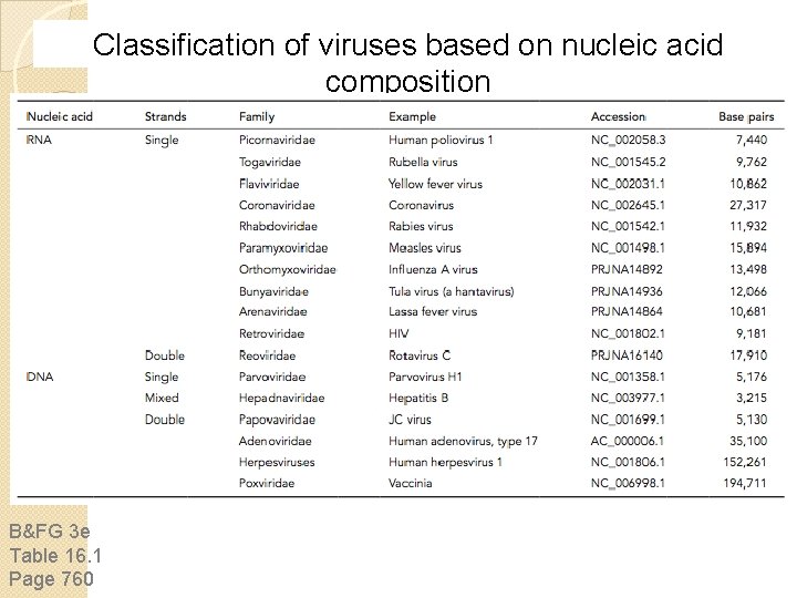Classification of viruses based on nucleic acid composition B&FG 3 e Table 16. 1 Classification of viruses based on nucleic acid composition B&FG 3 e Table 16. 1