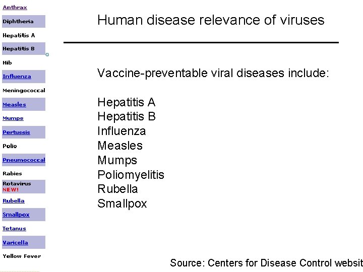Human disease relevance of viruses Vaccine-preventable viral diseases include: Hepatitis A Hepatitis B Influenza Human disease relevance of viruses Vaccine-preventable viral diseases include: Hepatitis A Hepatitis B Influenza