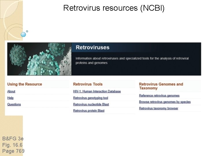 Retrovirus resources (NCBI) B&FG 3 e Fig. 16. 6 Page 769 Retrovirus resources (NCBI) B&FG 3 e Fig. 16. 6 Page 769