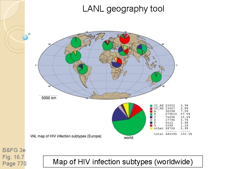 LANL geography tool B&FG 3 e Fig. 16. 7 Page 770 Map of HIV LANL geography tool B&FG 3 e Fig. 16. 7 Page 770 Map of HIV