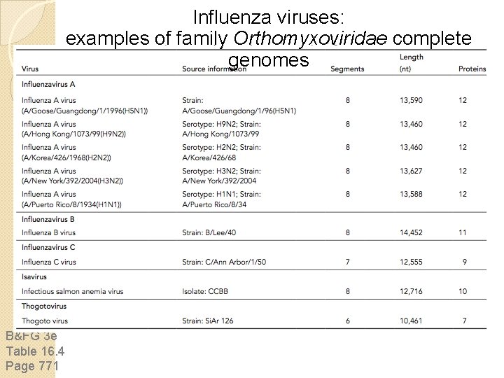 Influenza viruses: examples of family Orthomyxoviridae complete genomes B&FG 3 e Table 16. 4 Influenza viruses: examples of family Orthomyxoviridae complete genomes B&FG 3 e Table 16. 4