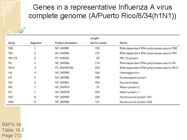 Genes in a representative Influenza A virus complete genome (A/Puerto Rico/8/34(h 1 N 1)) Genes in a representative Influenza A virus complete genome (A/Puerto Rico/8/34(h 1 N 1))