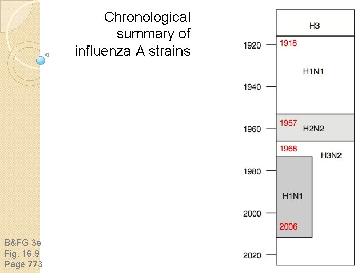 Chronological summary of influenza A strains B&FG 3 e Fig. 16. 9 Page 773 Chronological summary of influenza A strains B&FG 3 e Fig. 16. 9 Page 773