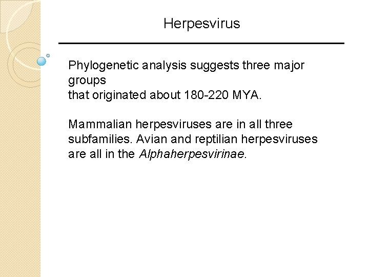 Herpesvirus Phylogenetic analysis suggests three major groups that originated about 180 -220 MYA. Mammalian Herpesvirus Phylogenetic analysis suggests three major groups that originated about 180 -220 MYA. Mammalian