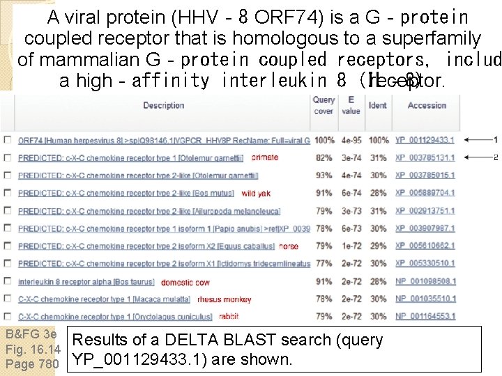 A viral protein (HHV‐ 8 ORF 74) is a G‐protein coupled receptor that is A viral protein (HHV‐ 8 ORF 74) is a G‐protein coupled receptor that is