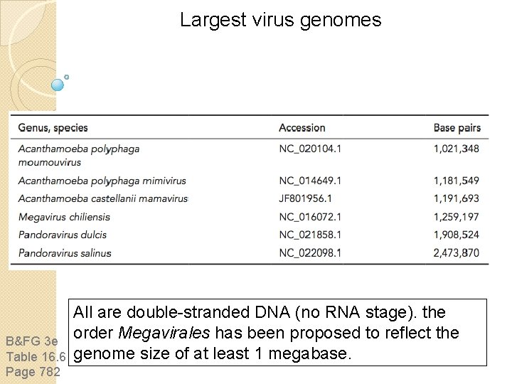 Largest virus genomes B&FG 3 e Table 16. 6 Page 782 All are double-stranded Largest virus genomes B&FG 3 e Table 16. 6 Page 782 All are double-stranded
