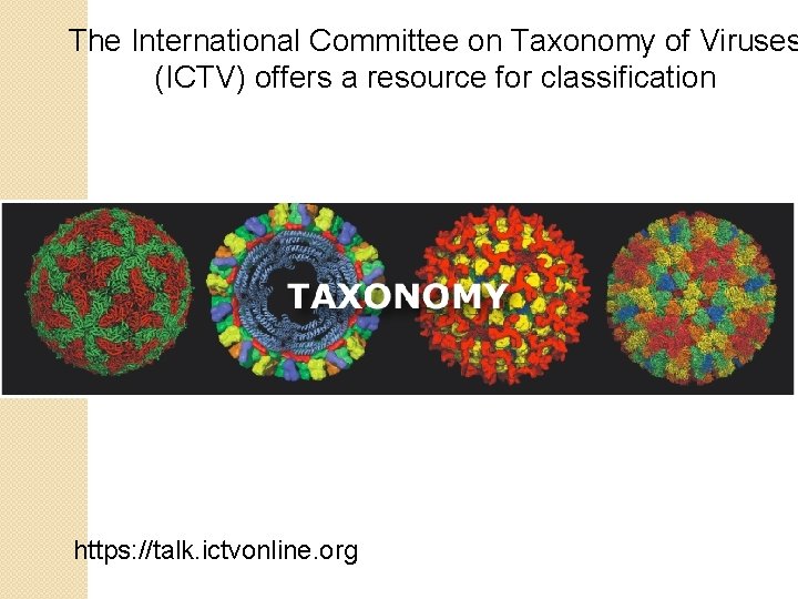 The International Committee on Taxonomy of Viruses (ICTV) offers a resource for classification https: The International Committee on Taxonomy of Viruses (ICTV) offers a resource for classification https:
