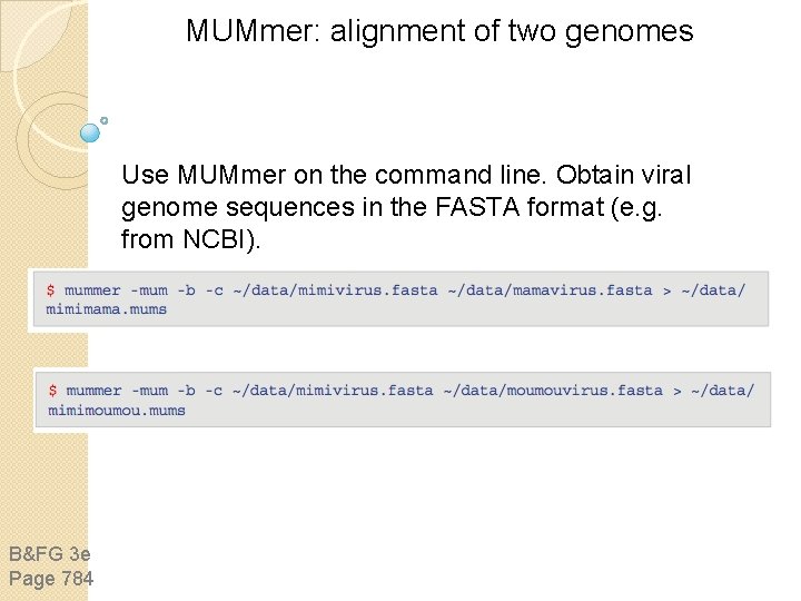 MUMmer: alignment of two genomes Use MUMmer on the command line. Obtain viral genome MUMmer: alignment of two genomes Use MUMmer on the command line. Obtain viral genome