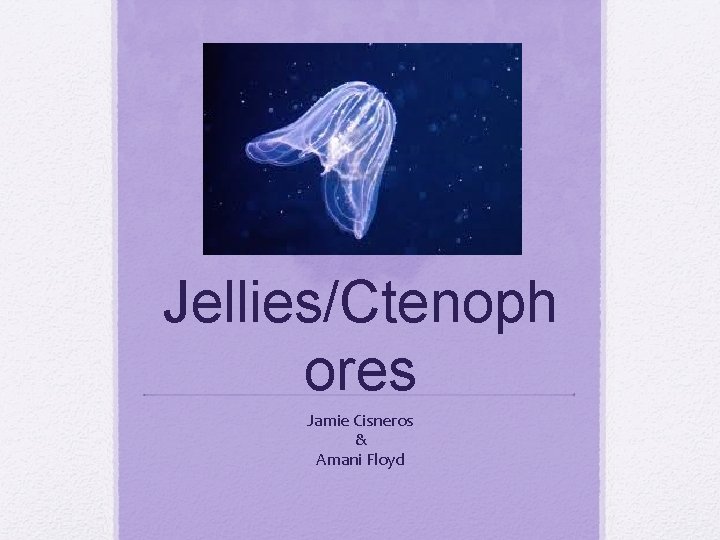 Comb Jellies/Ctenoph ores Jamie Cisneros & Amani Floyd 