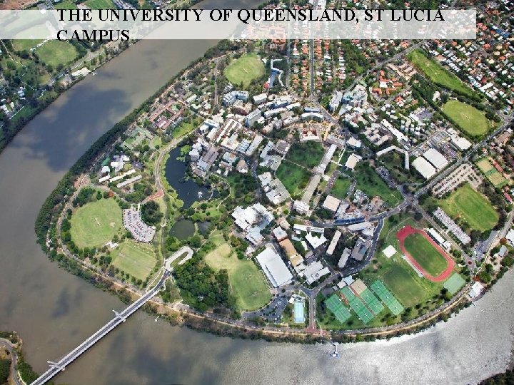 THE UNIVERSITY OF QUEENSLAND, ST LUCIA CAMPUS 