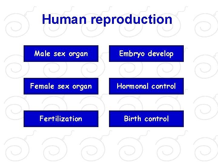 Human reproduction Male sex organ Embryo develop Female sex organ Hormonal control Fertilization Birth