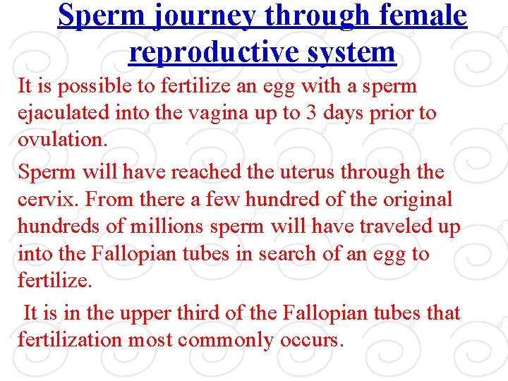 Sperm journey through female reproductive system It is possible to fertilize an egg with