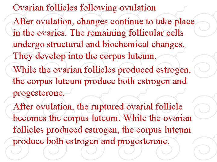 Ovarian follicles following ovulation After ovulation, changes continue to take place in the ovaries.