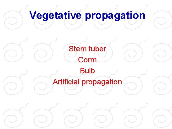 Vegetative propagation Stem tuber Corm Bulb Artificial propagation 