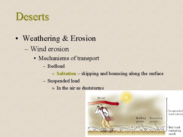 Deserts • Weathering & Erosion – Wind erosion • Mechanisms of transport – Bedload