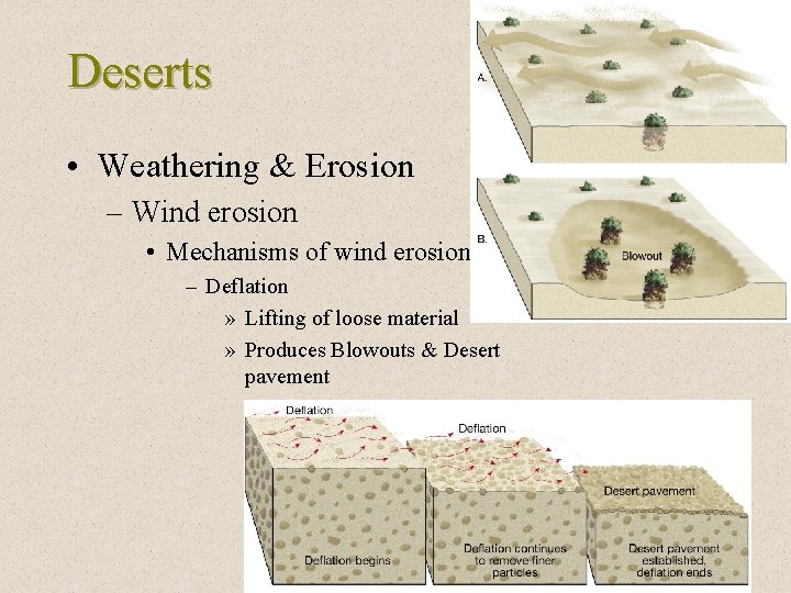 Deserts • Weathering & Erosion – Wind erosion • Mechanisms of wind erosion –