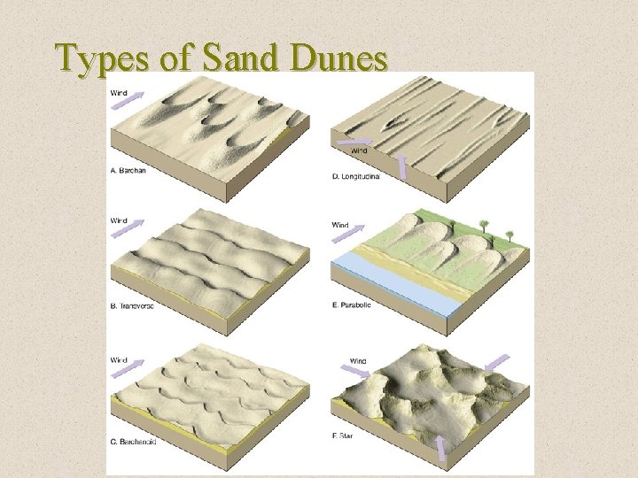 Types of Sand Dunes 