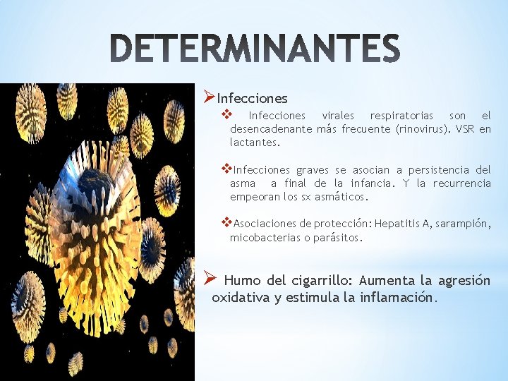 ØInfecciones virales respiratorias son el desencadenante más frecuente (rinovirus). VSR en lactantes. v. Infecciones