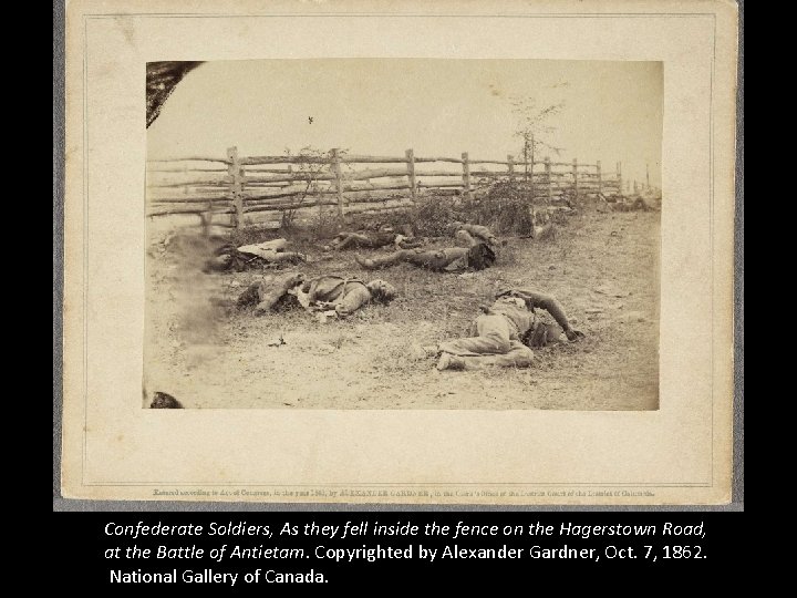 Confederate Soldiers, As they fell inside the fence on the Hagerstown Road, at the