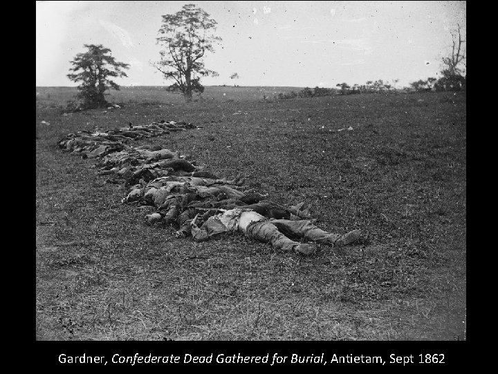 Gardner, Confederate Dead Gathered for Burial, Antietam, Sept 1862 