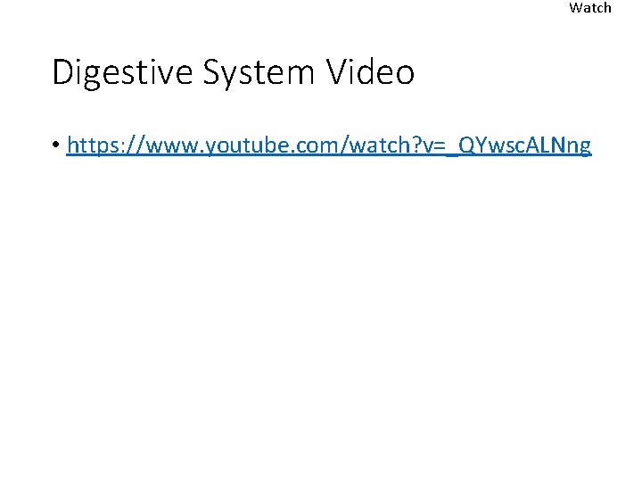 Watch Digestive System Video • https: //www. youtube. com/watch? v=_QYwsc. ALNng 