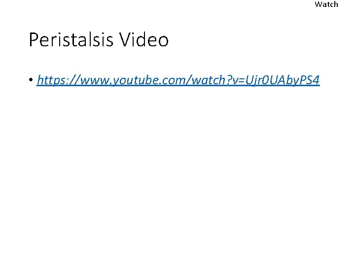Watch Peristalsis Video • https: //www. youtube. com/watch? v=Ujr 0 UAby. PS 4 