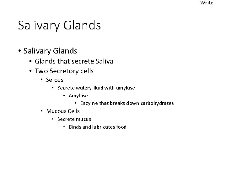 Write Salivary Glands • Glands that secrete Saliva • Two Secretory cells • Serous