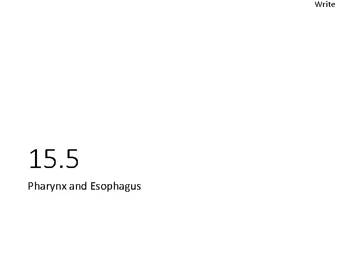 Write 15. 5 Pharynx and Esophagus 