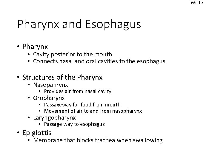 Write Pharynx and Esophagus • Pharynx • Cavity posterior to the mouth • Connects