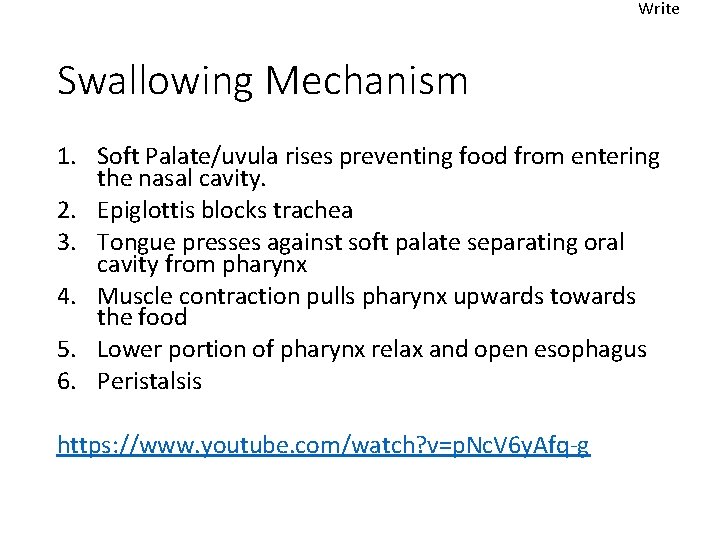 Write Swallowing Mechanism 1. Soft Palate/uvula rises preventing food from entering the nasal cavity.