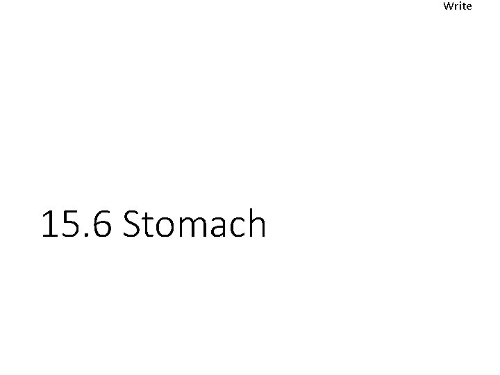 Write 15. 6 Stomach 