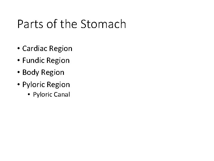 Parts of the Stomach • Cardiac Region • Fundic Region • Body Region •