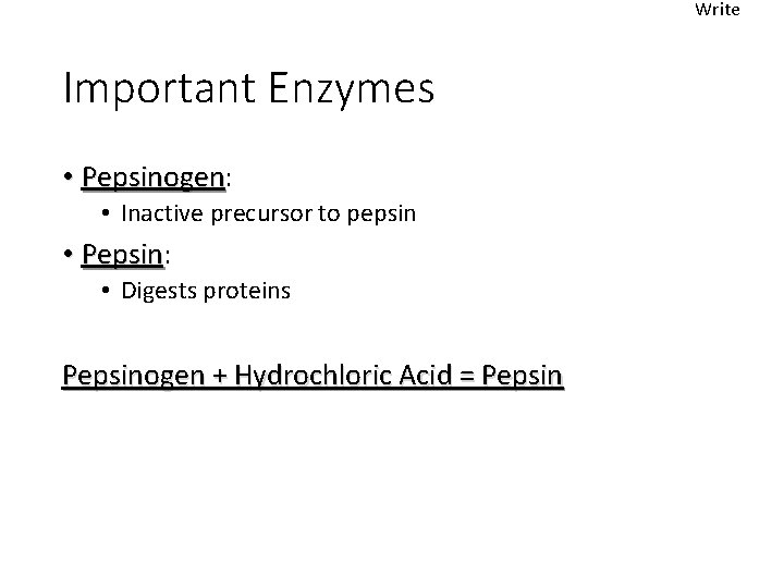 Write Important Enzymes • Pepsinogen: Pepsinogen • Inactive precursor to pepsin • Pepsin: Pepsin