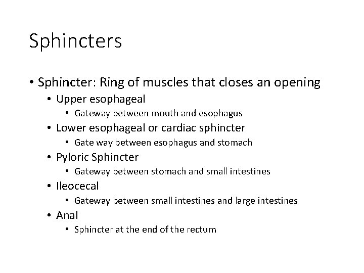 Sphincters • Sphincter: Ring of muscles that closes an opening • Upper esophageal •