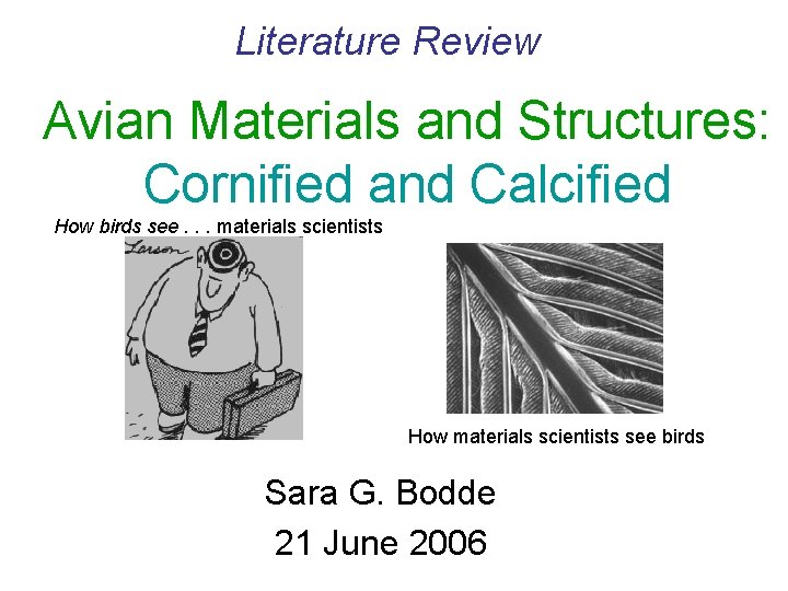 Literature Review Avian Materials and Structures: Cornified and Calcified How birds see. . .