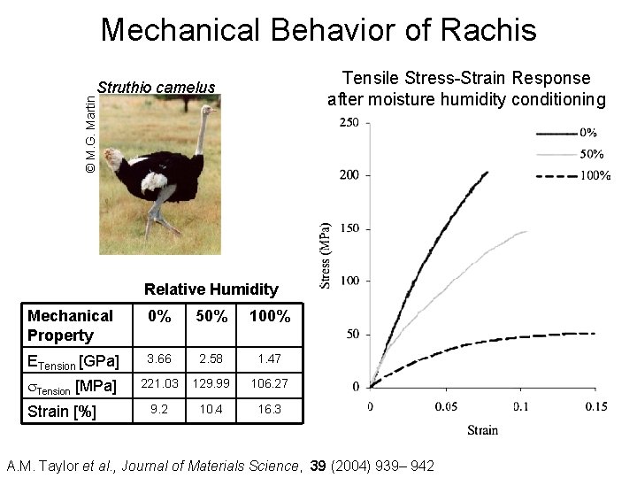 Mechanical Behavior of Rachis Tensile Stress-Strain Response after moisture humidity conditioning © M. G.