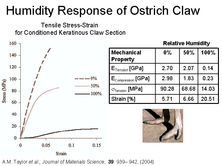 Humidity Response of Ostrich Claw Tensile Stress-Strain for Conditioned Keratinous Claw Section Relative Humidity