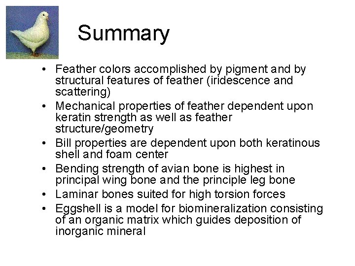 Summary • Feather colors accomplished by pigment and by structural features of feather (iridescence