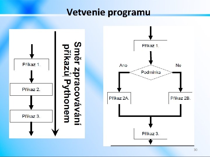 Vetvenie programu 30 