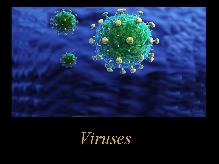 Viruses 