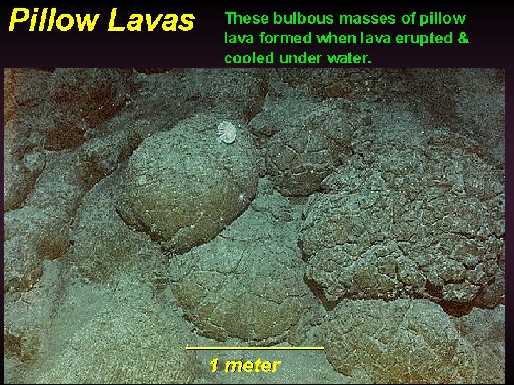 Pillow Lavas These bulbous masses of pillow lava formed when lava erupted & cooled