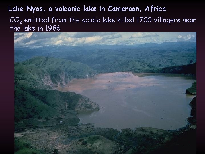 Lake Nyos, a volcanic lake in Cameroon, Africa CO 2 emitted from the acidic