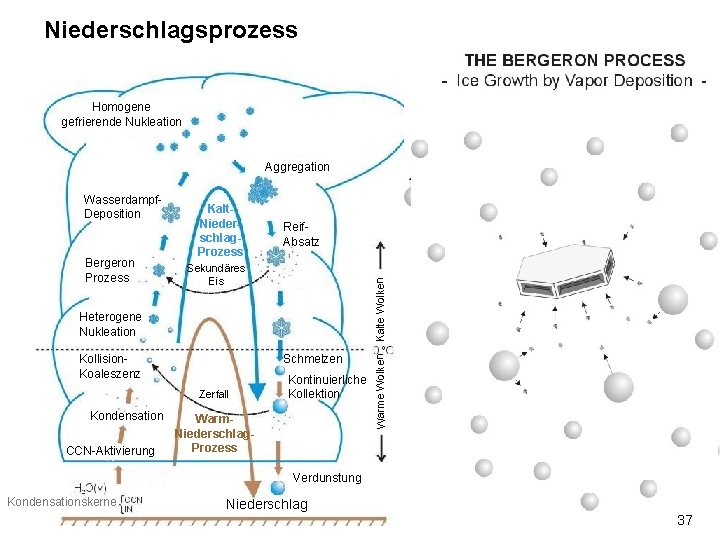 Niederschlagsprozess Homogene gefrierende Nukleation Aggregation Reif. Absatz Sekundäres Eis Kalte Wolken Bergeron Prozess Kalt.