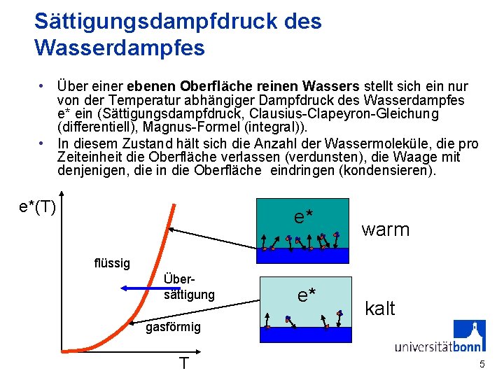 Sättigungsdampfdruck des Wasserdampfes • Über einer ebenen Oberfläche reinen Wassers stellt sich ein nur